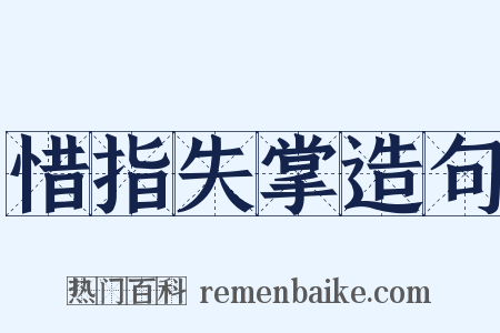 惜指失掌造句是什么意思的图片